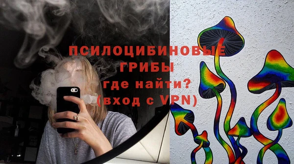 мдпв Нея
