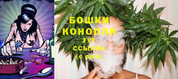 стаф Нефтегорск