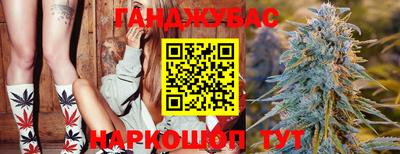 крисы Гусиноозёрск