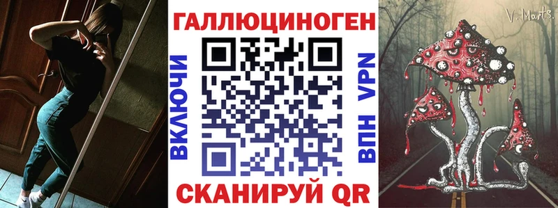 Галлюциногенные грибы Psilocybine cubensis  Кузнецк 
