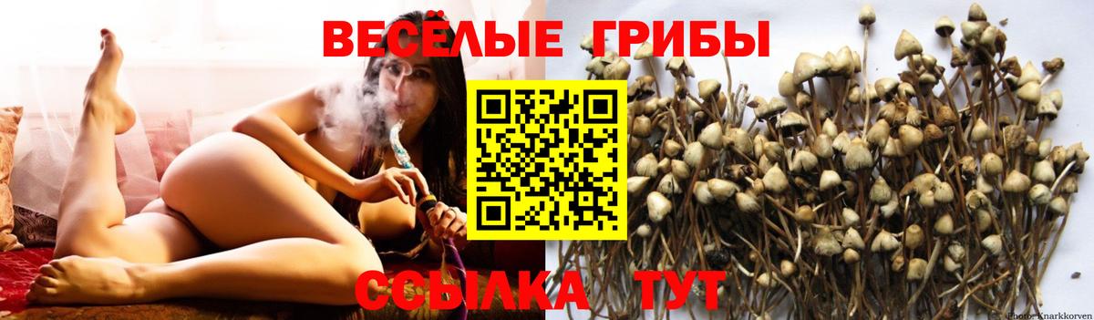 Галлюциногенные грибы Psilocybine cubensis  Вход с VPN  Галлюциногенные грибы ЛСД  Кузнецк 